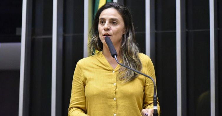 Conselho de Ética da Câmara arquiva ação contra Fernanda Melchionna