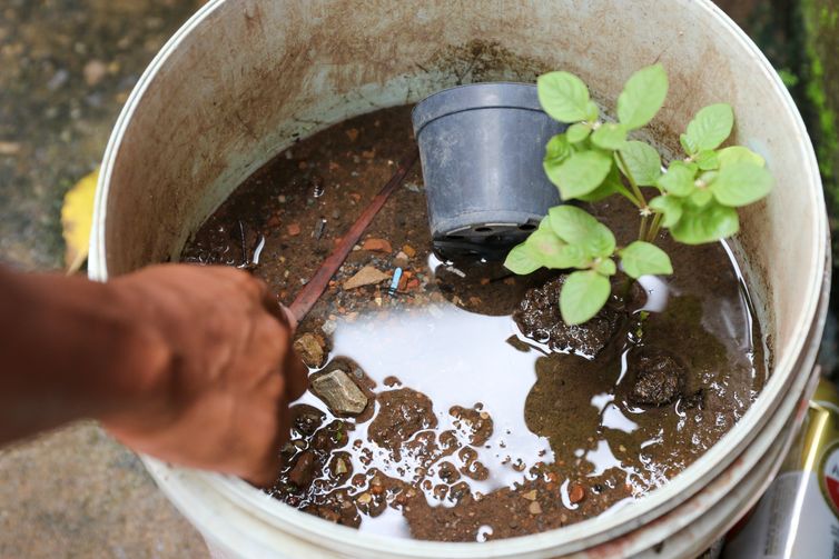 Dengue: Saúde encerra atividades do Centro de Operações em Emergência