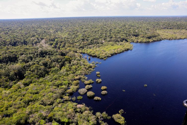 Petrobras e BNDES fazem parceria para restauração na Amazônia